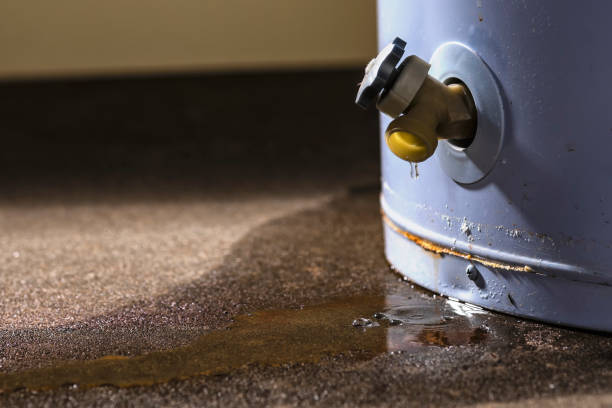 Best Water damage restoration company  in Cutten, CA