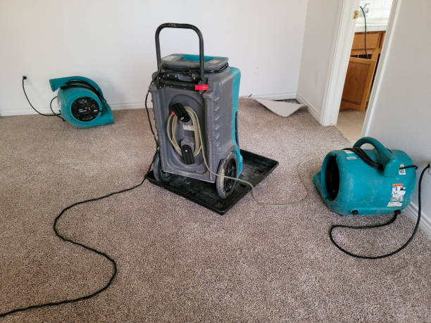 Best Professional water damage repair  in Cutten, CA