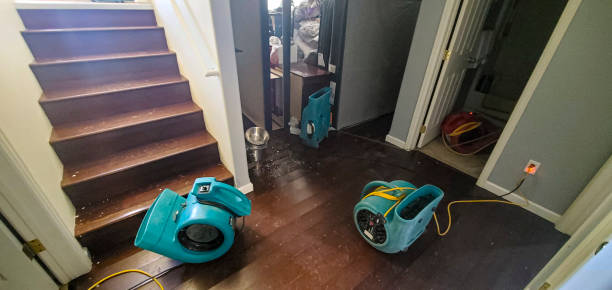 Best Ceiling water damage repair  in Cutten, CA