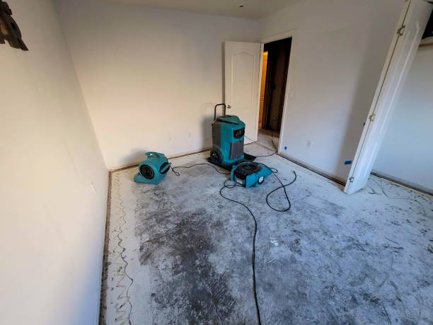  Cutten, CA Water damage restoration Pros