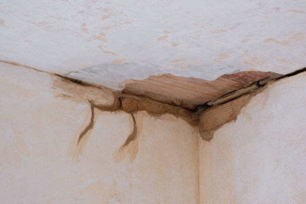 Best Water damage cleanup near me  in Cutten, CA