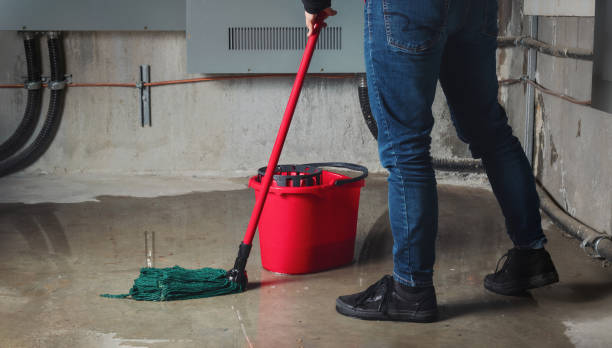  Cutten, CA Water damage restoration Pros