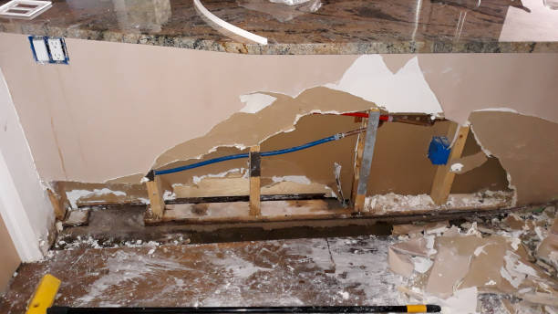 Best Mold removal after water damage  in Cutten, CA