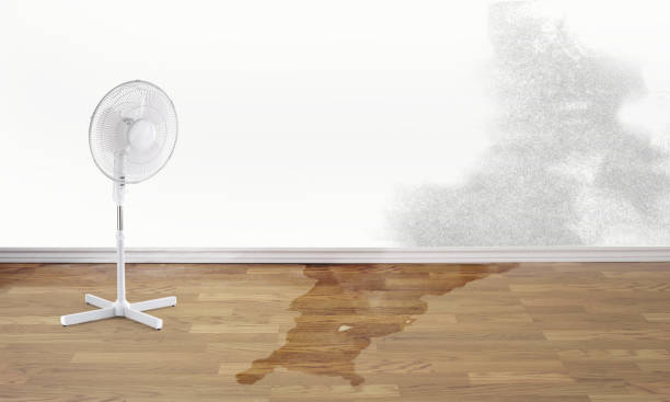 Best Water damage cleanup near me  in Cutten, CA