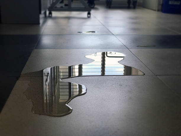 Best Carpet water damage restoration  in Cutten, CA