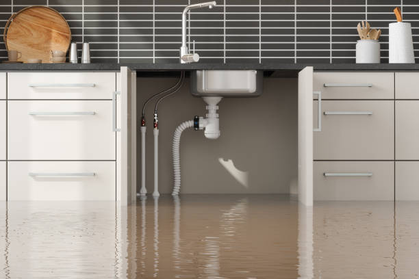 Best Fire Damage Restoration  in Cutten, CA