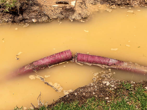 Best Water damage mitigation services  in Cutten, CA